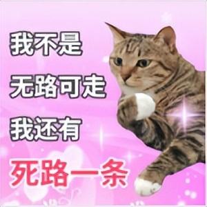 毕业一年以上还能进入游戏市场吗？