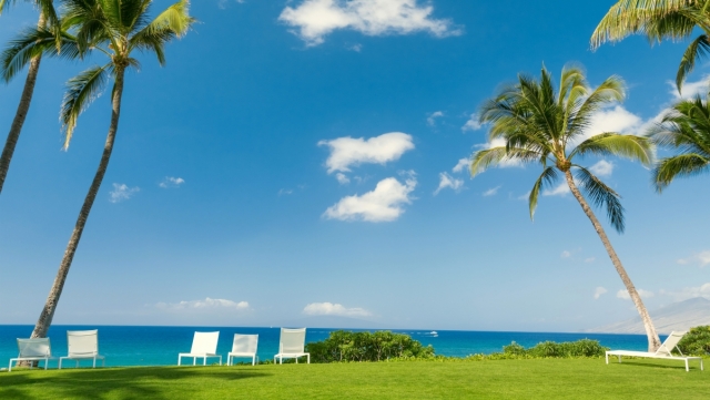 早报｜苹果多模态大模型悄然发布 ／ 董宇辉已成立新公司 ／ 马斯克 2023 年财富增长 7700 亿